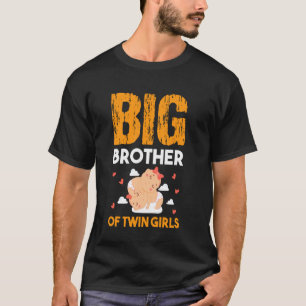 Big Brother Of Twin Girls Baby Siblings Family Sis T-Shirt