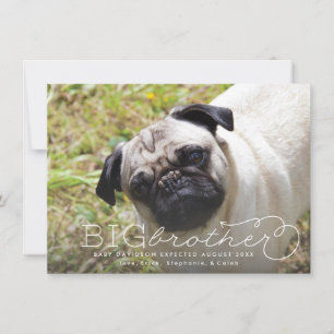 Big Brother Photo Pet Pregnancy Announcement