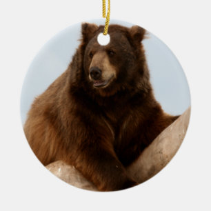 Big Brown Bear Ceramic Tree Decoration