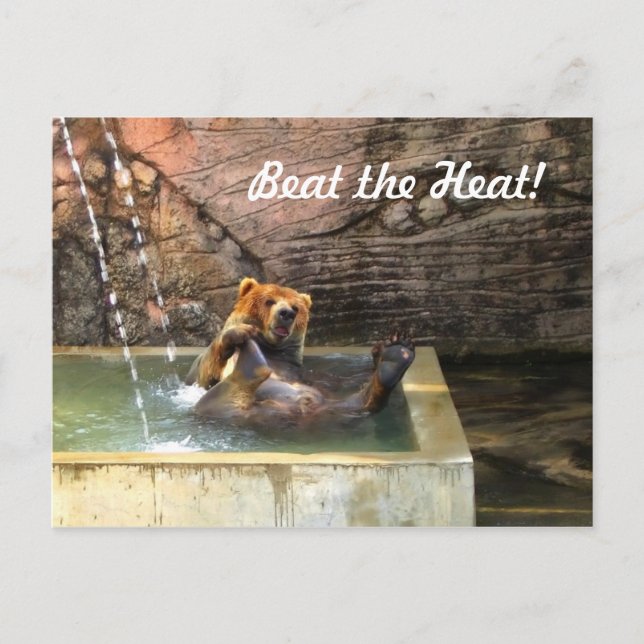 Big Brown Bear Taking a Bath Postcard (Front)