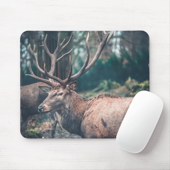 Big Brown Buck Deer with Large Antlers Mouse Mat (With Mouse)