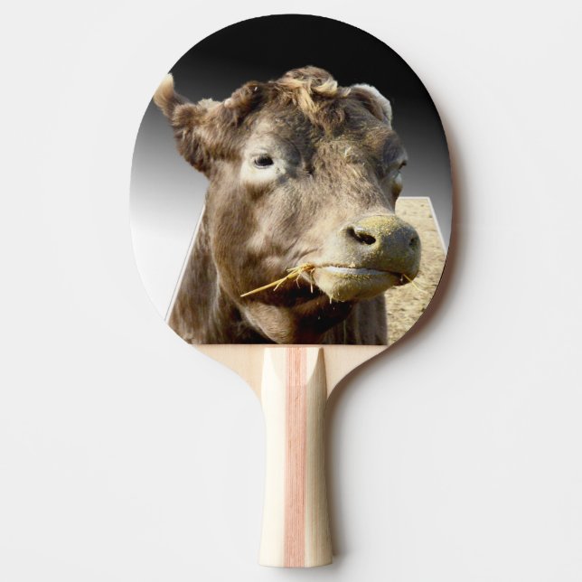 Big Brown Cow Face, Ping Pong Paddle (Front)