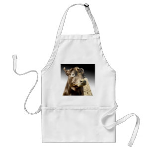 Big Brown Cow Munching On Hay, Standard Apron
