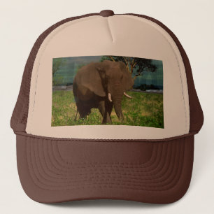 Big Brown Elephant Grazing,    Trucker Hat