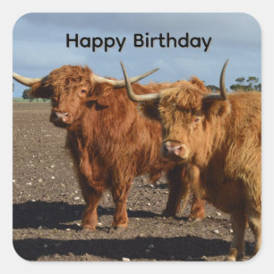 Big Brown Highland Cows, Birthday Stickers