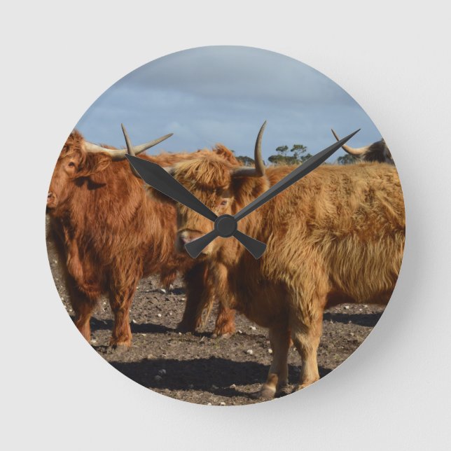 Big Brown Highland Cows, Round Clock (Front)