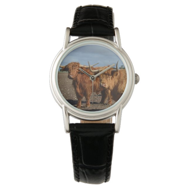 Big Brown Highland Cows, Watch (Front)