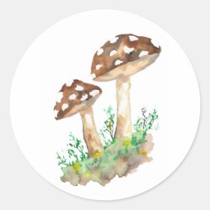 Big Brown Mushrooms Classic Round Sticker