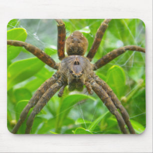 Big Brown Spider Mouse Mat