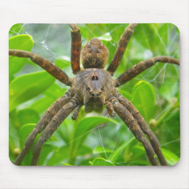 Big Brown Spider Mouse Mat (Front)
