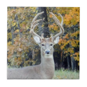 Big Buck Antlers Ceramic Tile