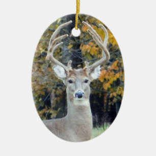 Big Buck Antlers Ornament