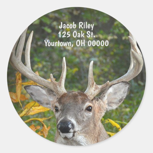 big buck deer in woods classic round sticker (Front)