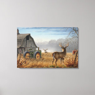 Big Buck  Deer Showdown On The Farm Canvas Print