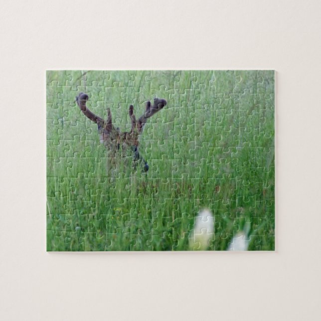 Big Buck In Tall Grass Jigsaw Puzzle (Horizontal)