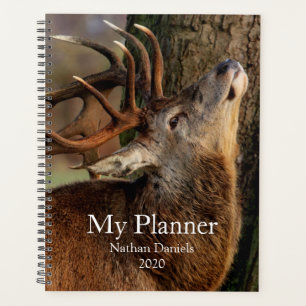 Big Buck Planner