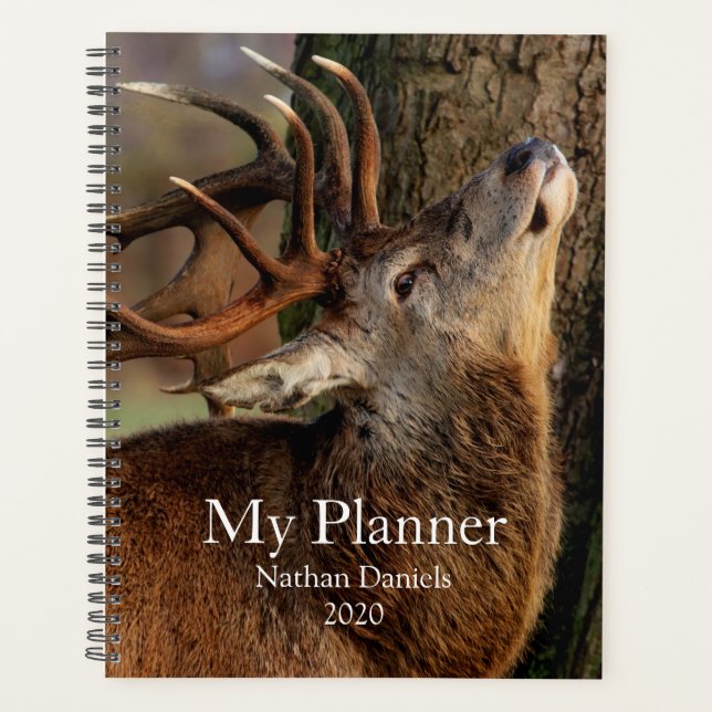 Big Buck Planner (Front)