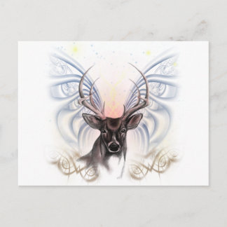 Big Buck Postcard