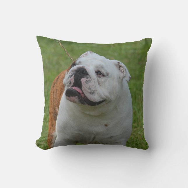 Big Bulldog Cushion (Front)