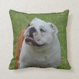 Big Bulldog Cushion