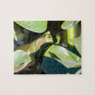 Big Bullfrog Jigsaw Puzzle