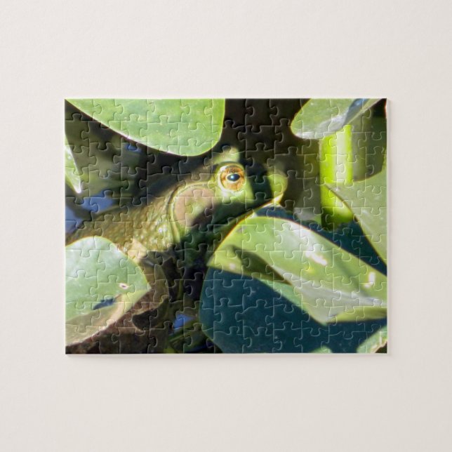 Big Bullfrog Jigsaw Puzzle (Horizontal)