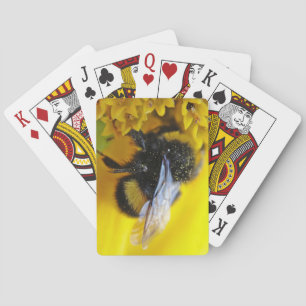 Big bumblebee playing cards