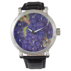 Big Bunch of Juicy Purple Grapes Watch
