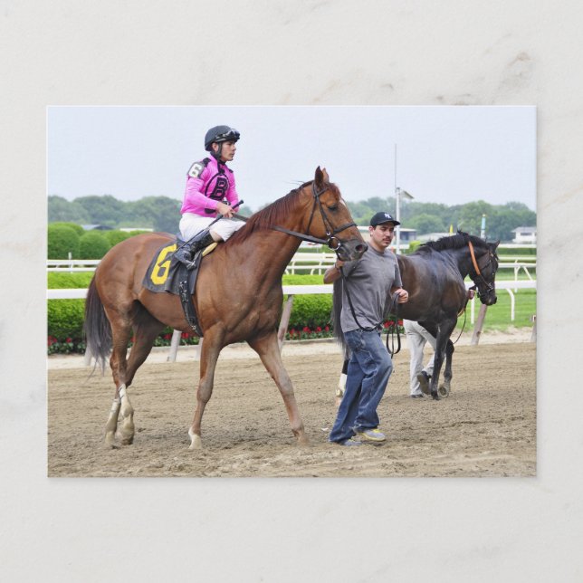 Big Business, Belmont Park Postcard (Front)