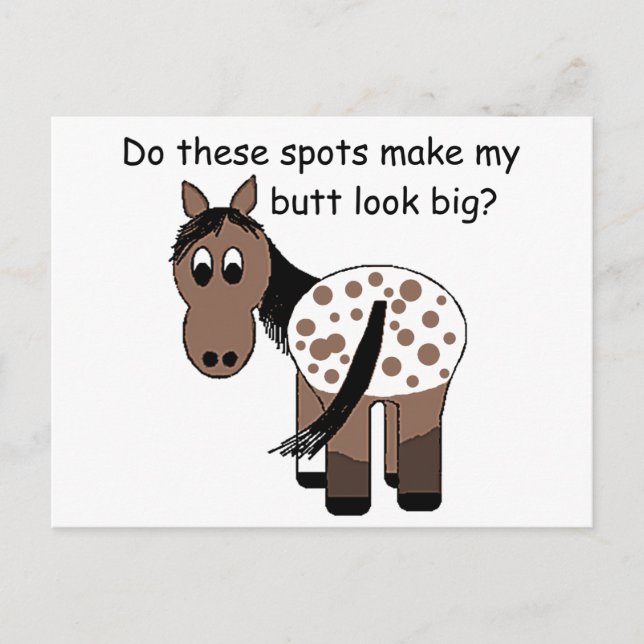 Big Butt Blanket Appaloosa Postcard (Front)