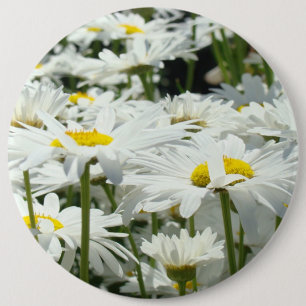 Big Button Happy White Daisy Flowers Daisies