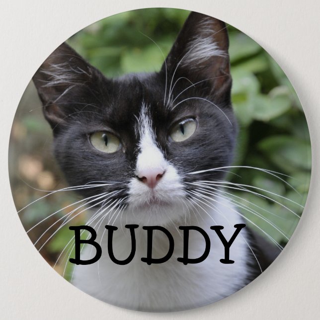 BIG BUTTON PET CAT CUSTOM (Front)