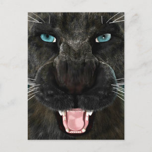 Big Cat Black Panther Holiday Postcard
