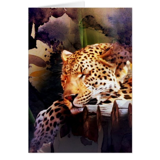 Big Cat Blank inside All Occasions Card (Front)