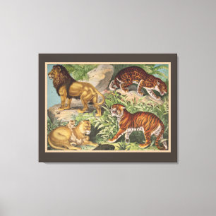 Big Cat Lions Tigers, Leopards, Animals Print