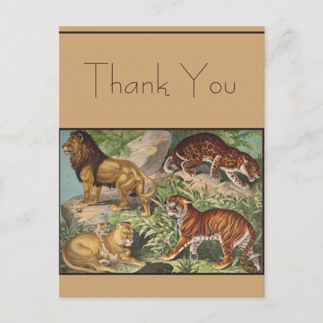 Big Cat Lions Tigers, Leopards, Animals Print Postcard (Front)