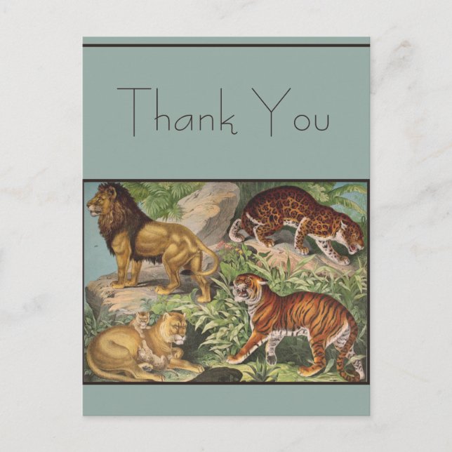 Big Cat Lions Tigers, Leopards, Animals Print Postcard (Front)