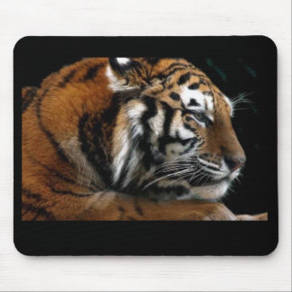 Big Cat Mouse Mat
