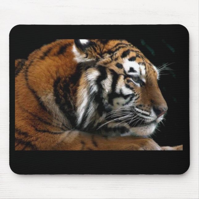 Big Cat Mouse Mat (Front)