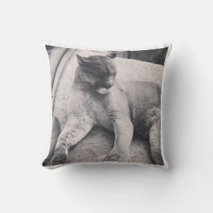 Big Cat Pillow