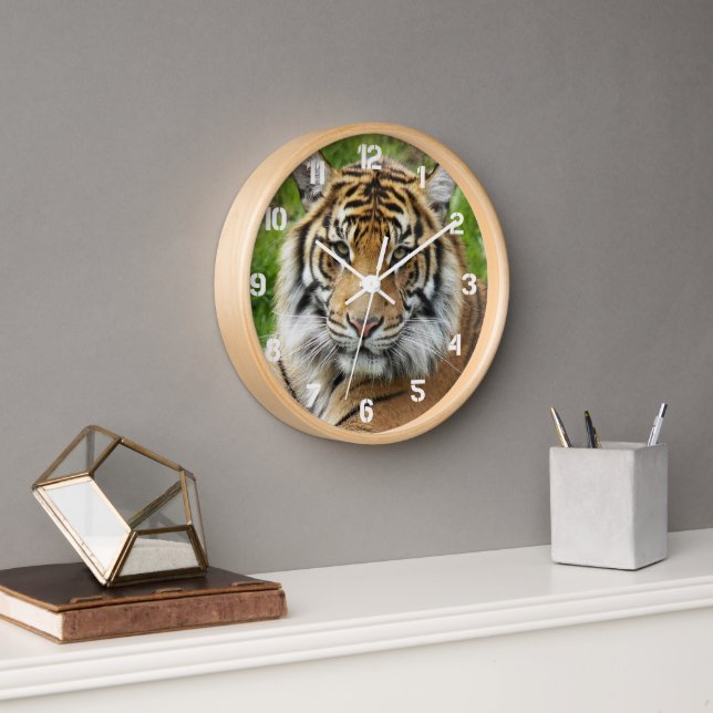 Big Cat Sumatran Tiger Photo Clock (Office)