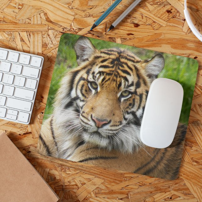 Big Cat Sumatran Tiger Photo Mouse Mat (In Situ)