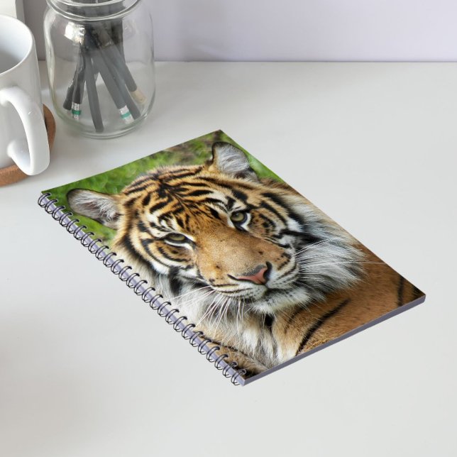 Big Cat Sumatran Tiger Photo Notebook (In Situ)