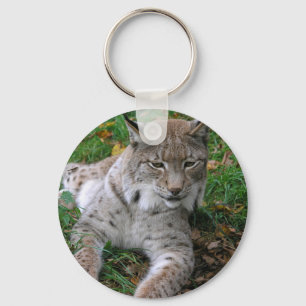 Big Cats - 11 Key Ring