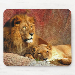 Big Cats - 6 Mouse Mat