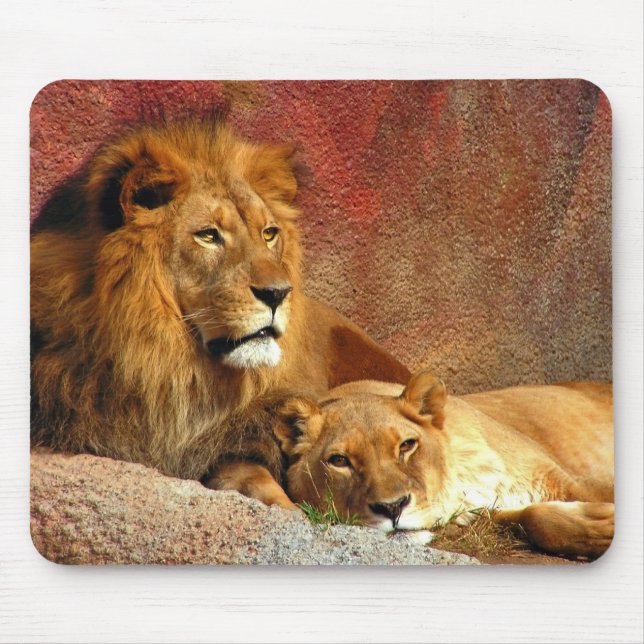 Big Cats - 6 Mouse Mat (Front)