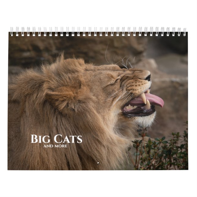 Big Cats And More Calendar (Cover)