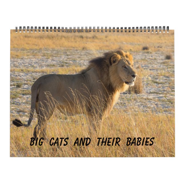 BIG CATS AND THEIR BABIES CALENDAR (Cover)