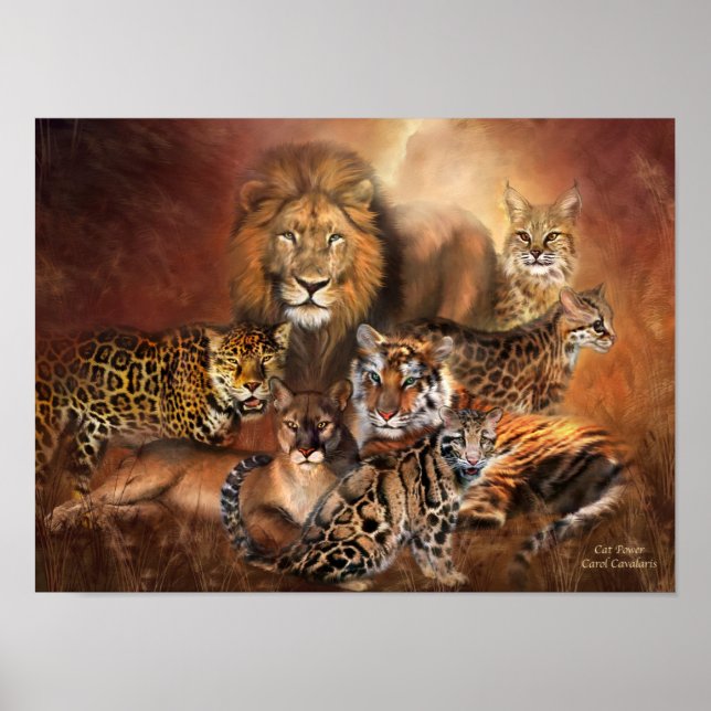 Big Cats Art Poster/Print Poster (Front)