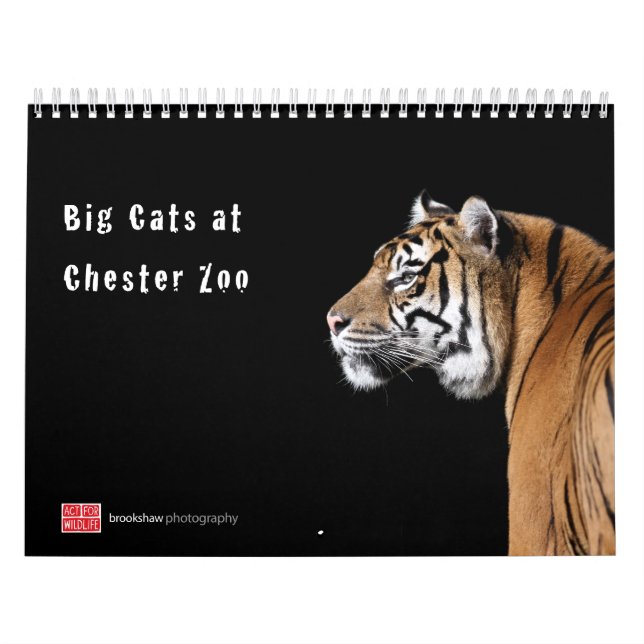 Big Cats at Chester Zoo Calendar (Cover)